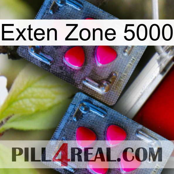 Exten Zone 5000 14.jpg